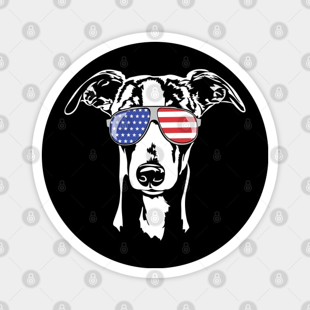 Funny proud Whippet with American Flag sunglasses Magnet by wilsigns